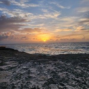 Meet your Posher, Ester